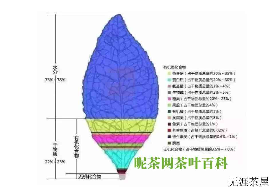 茶的介绍