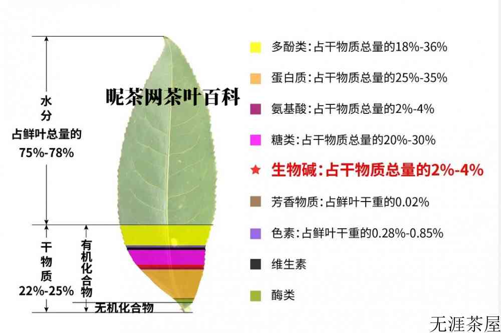 茶叶中的茶碱是什么