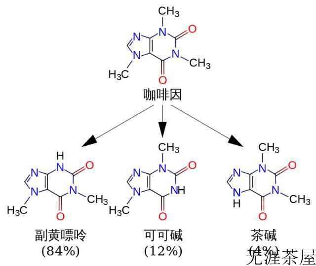 茶叶中的茶碱是什么