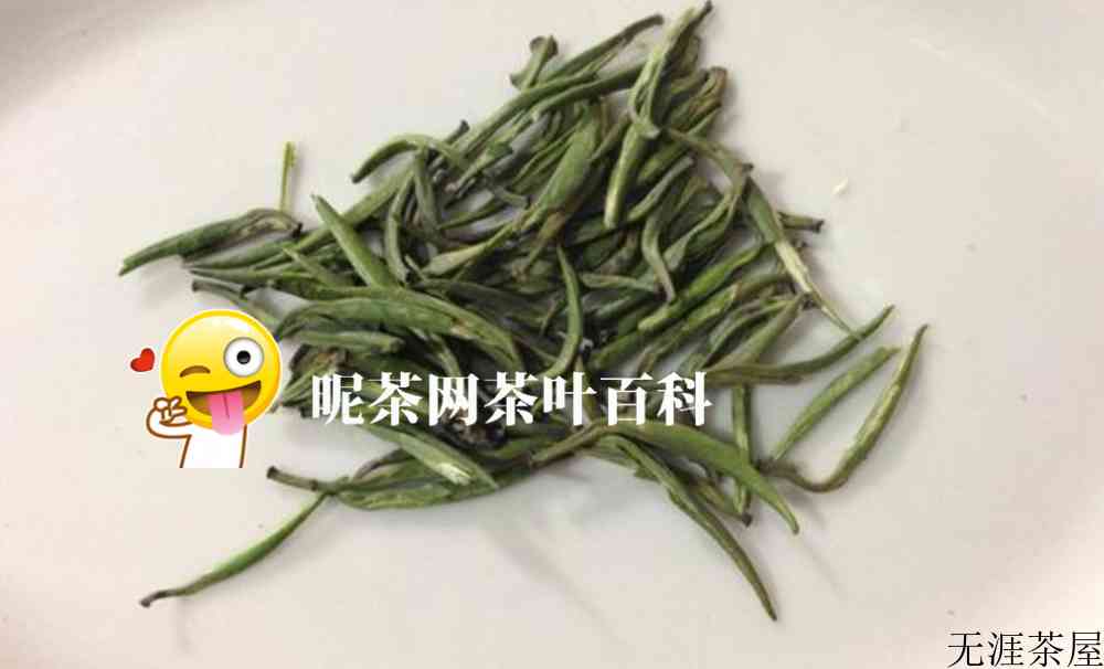 雀舌茶产地哪里较正宗