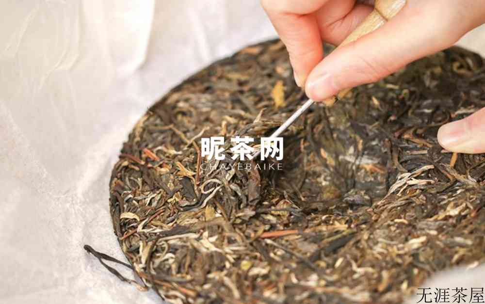 一扇磨古树茶特点