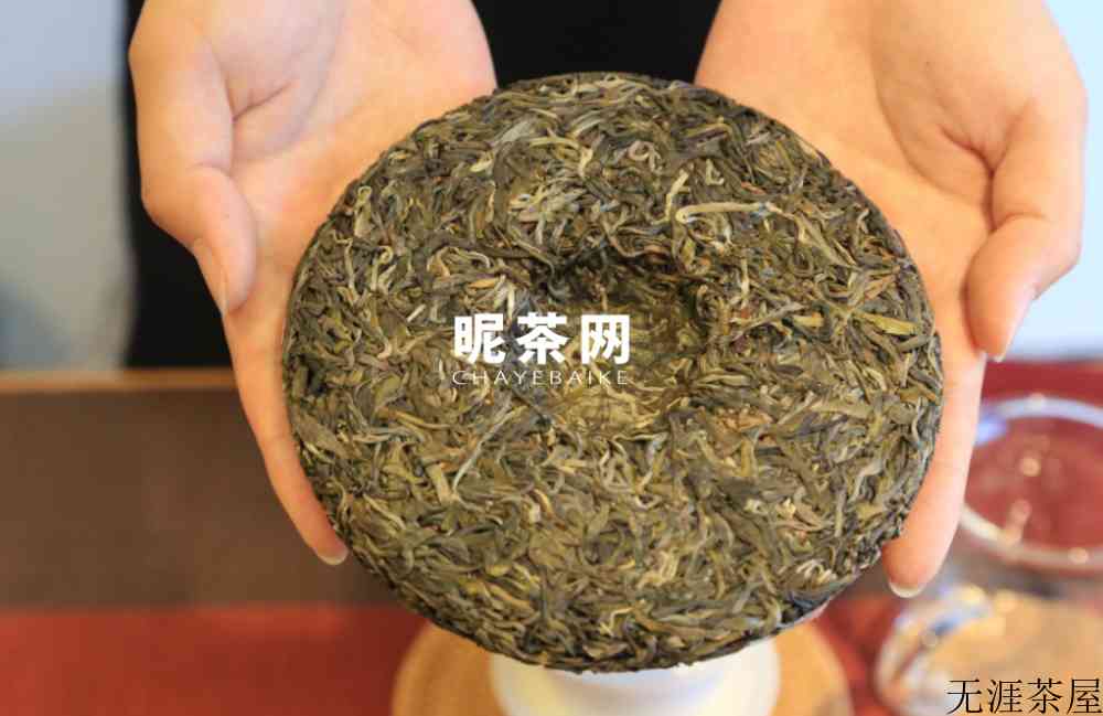 倚邦普洱茶特点