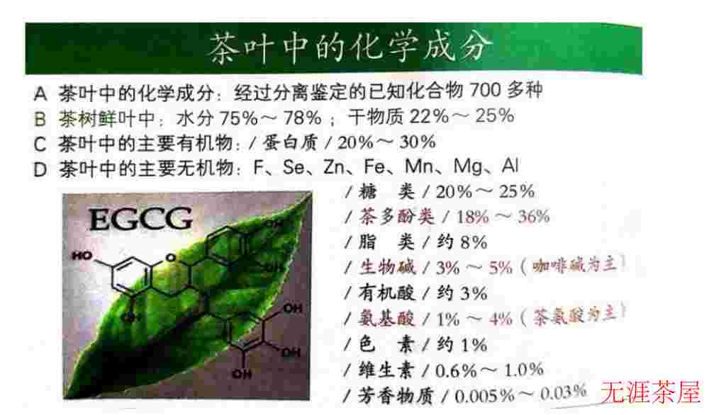 茶里面都含有什么成分