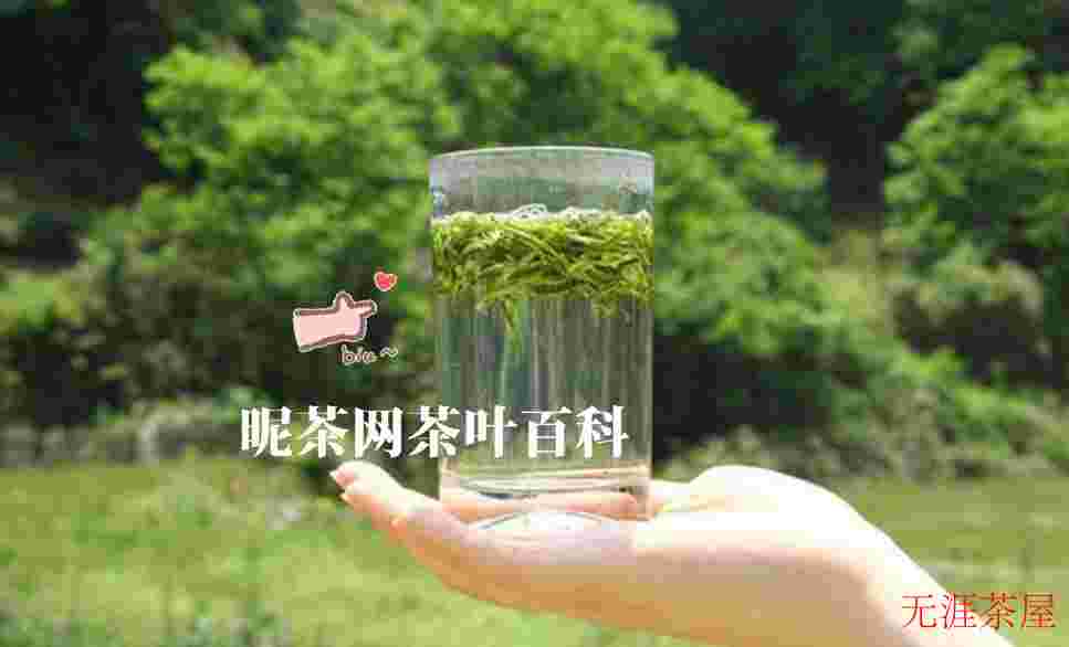 炎热的夏天，喝什么茶比较好