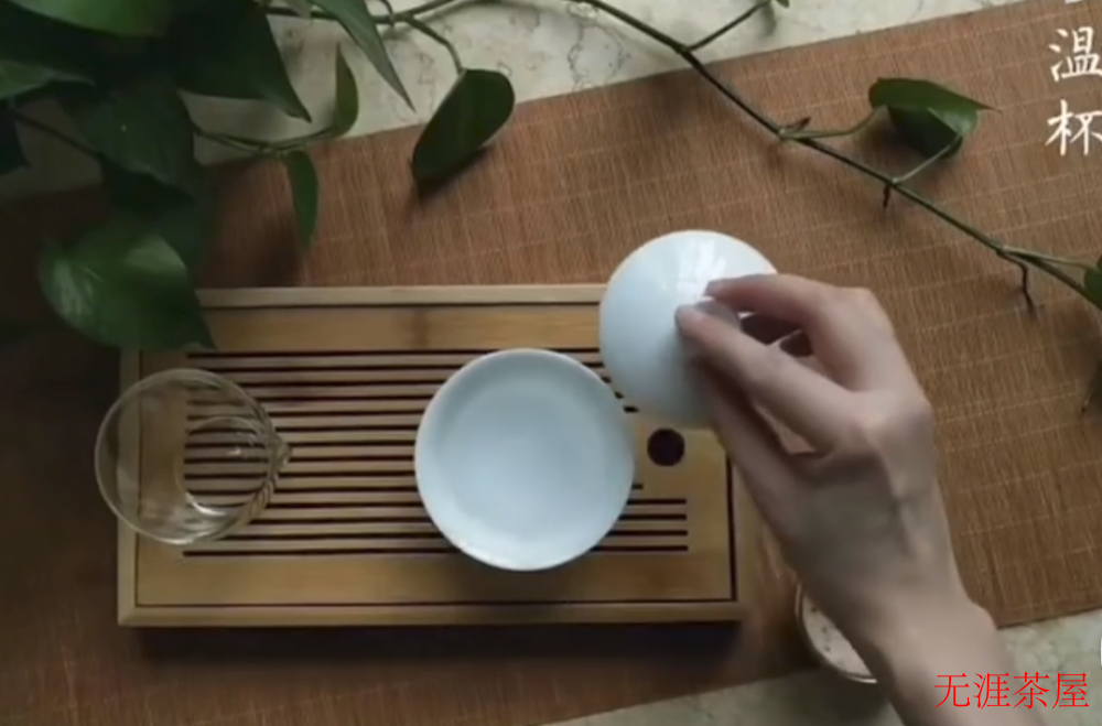 白牡丹茶的正确泡法