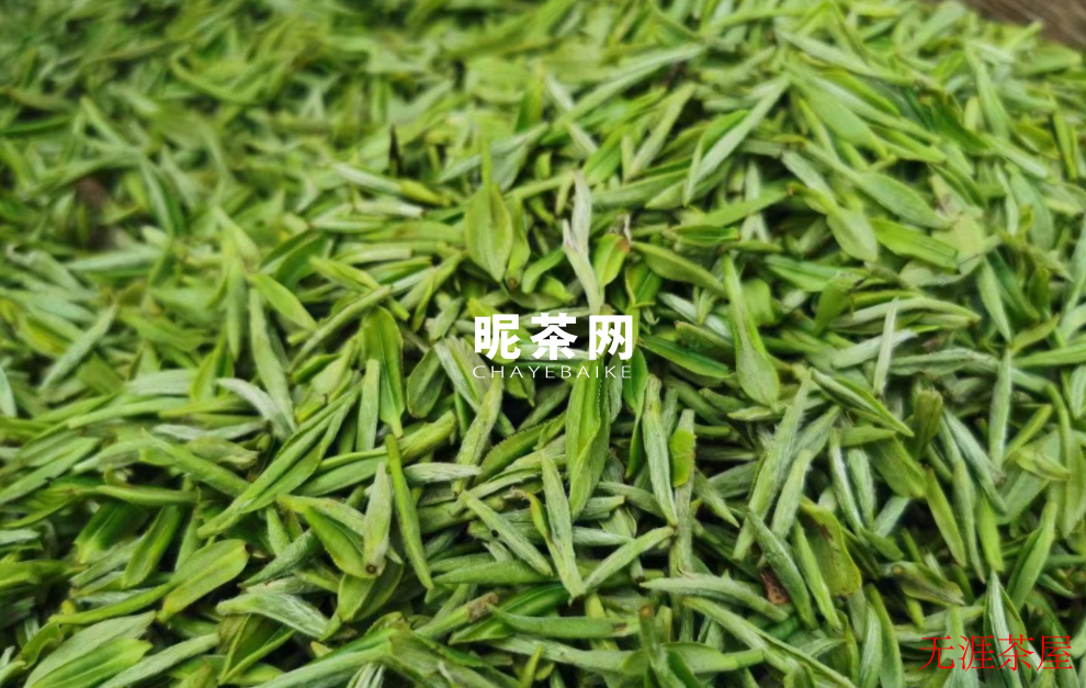 信阳毛尖茶用多少度的水泡