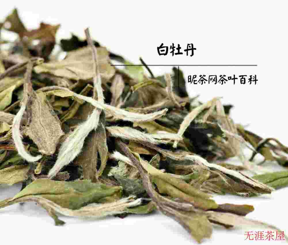 解暑茶有哪些