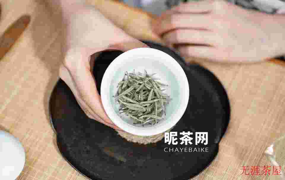 一杯春茶鲜，一文看懂全国春茶采摘时间