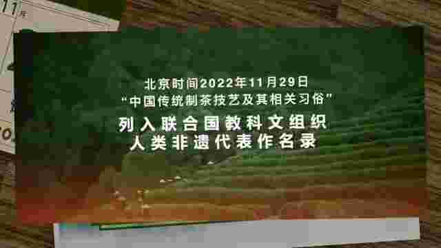 成功入选人类非遗！南京雨花茶、苏州碧螺春、扬州富春茶点来助力