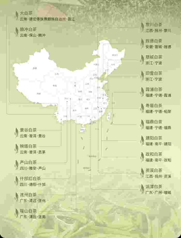 闲谈中国各地知名白茶，你品尝过哪些？